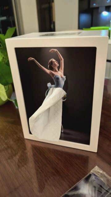 ballerina-inspired tissue box