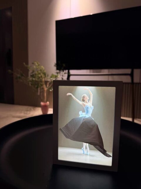 ballerina-inspired tissue box
