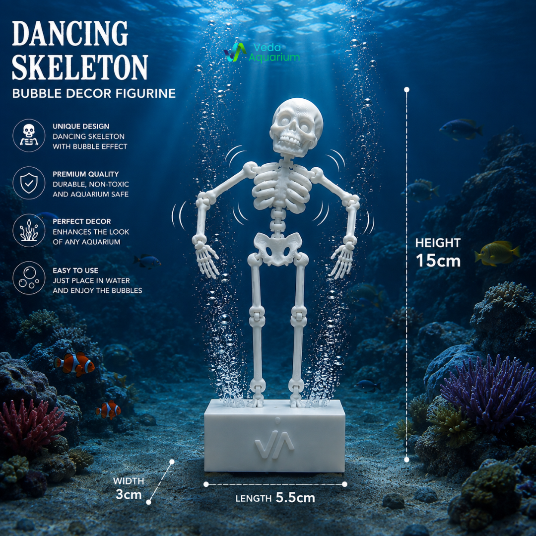 Aqua Bones Bubble Dancer
